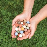 Lente. Moederdag. Plante. Bloemen .Bommetjes. Bloembommejtes. Blossombs. - 