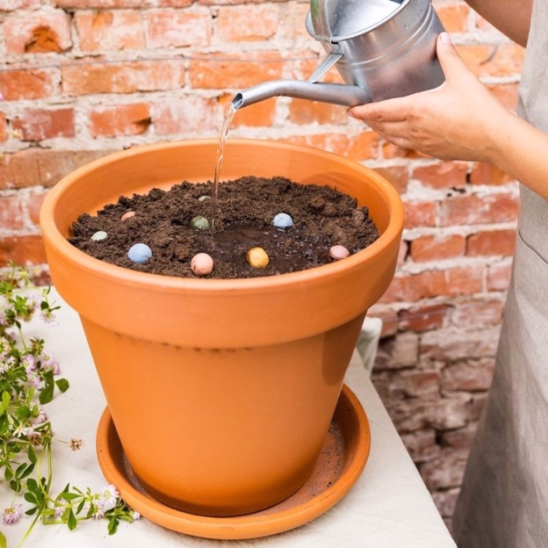 Blossombs met kleurrijke groetjes! - 