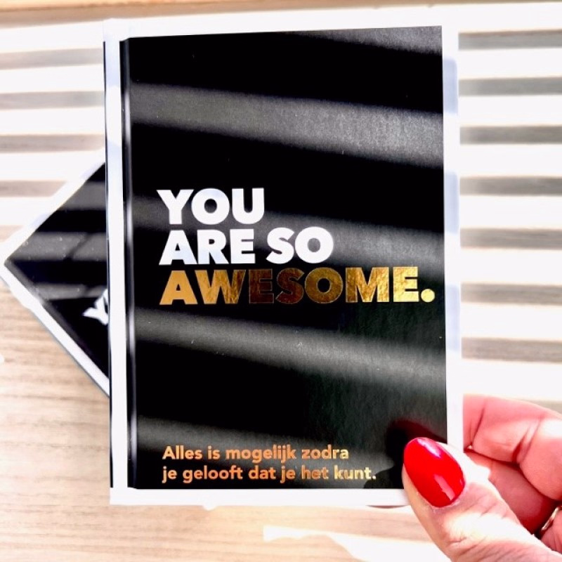 Boekje 'You are so awesome' - 