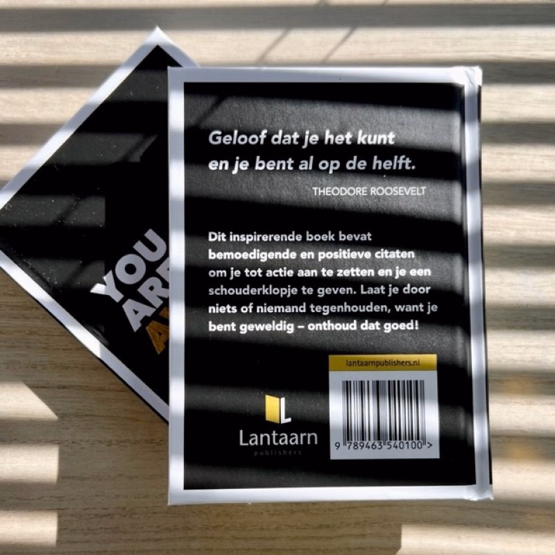 Boekje 'You are so awesome' - 