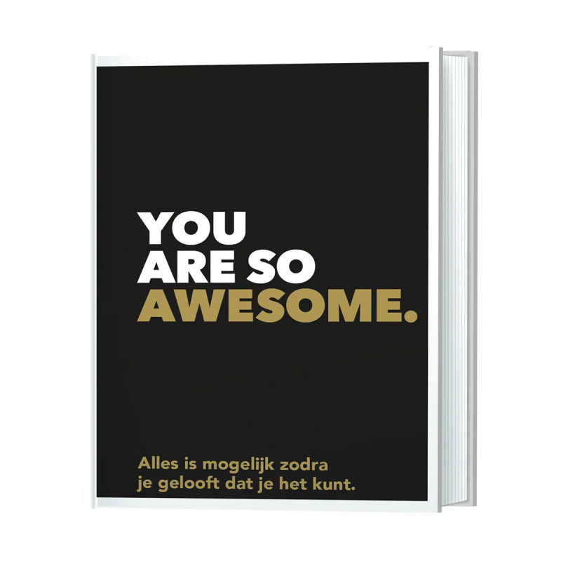 Boekje 'You are so awesome'