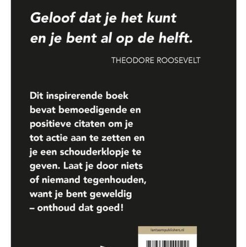 Boekje 'You are so awesome'