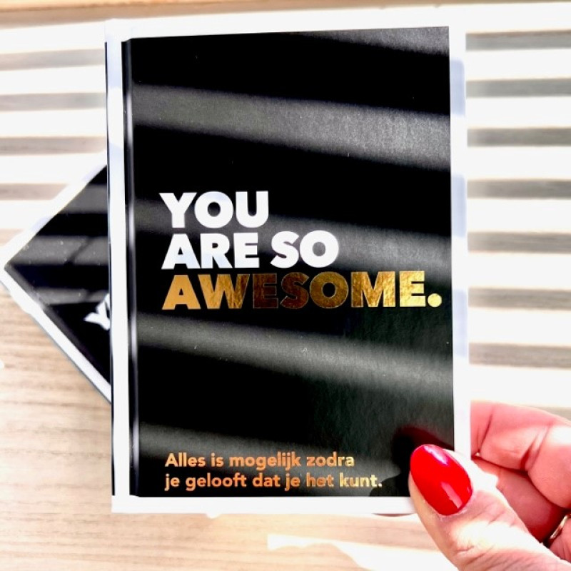 Boekje 'You are so awesome'