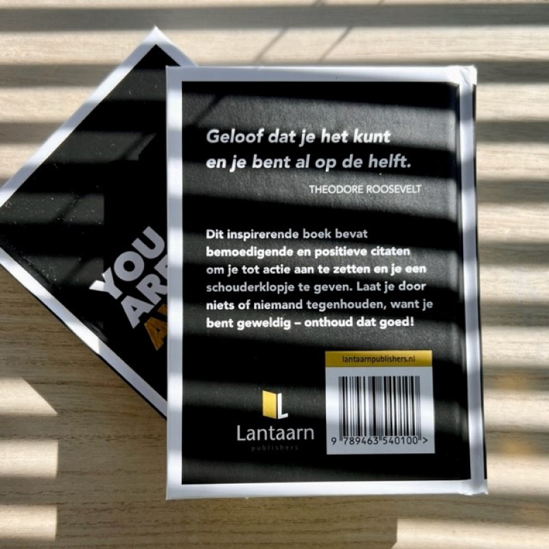 Boekje 'You are so awesome'