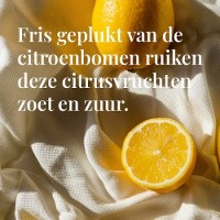 Sun 81 zomerse giftset van Janzen 